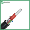 Cable de servicio concéntrico de aluminio LV 0.6 / 1kV 2X16mm2 con núcleos de comunicación piloto